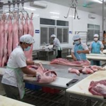 Thịt lợn tươi sống - Thực Phẩm Nam Hà Nội - Công Ty CP Tập Đoàn Chế Biến Thực Phẩm Nam Hà Nội